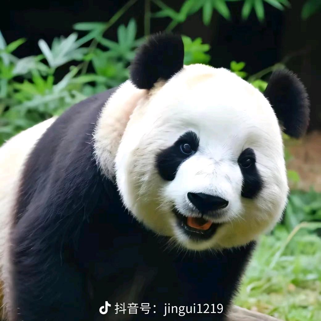 如意牛