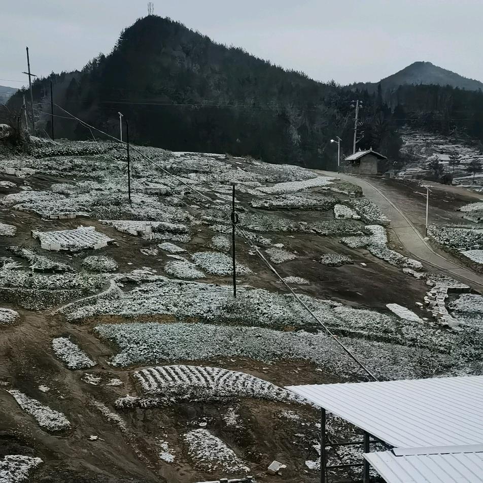 开心浩哥