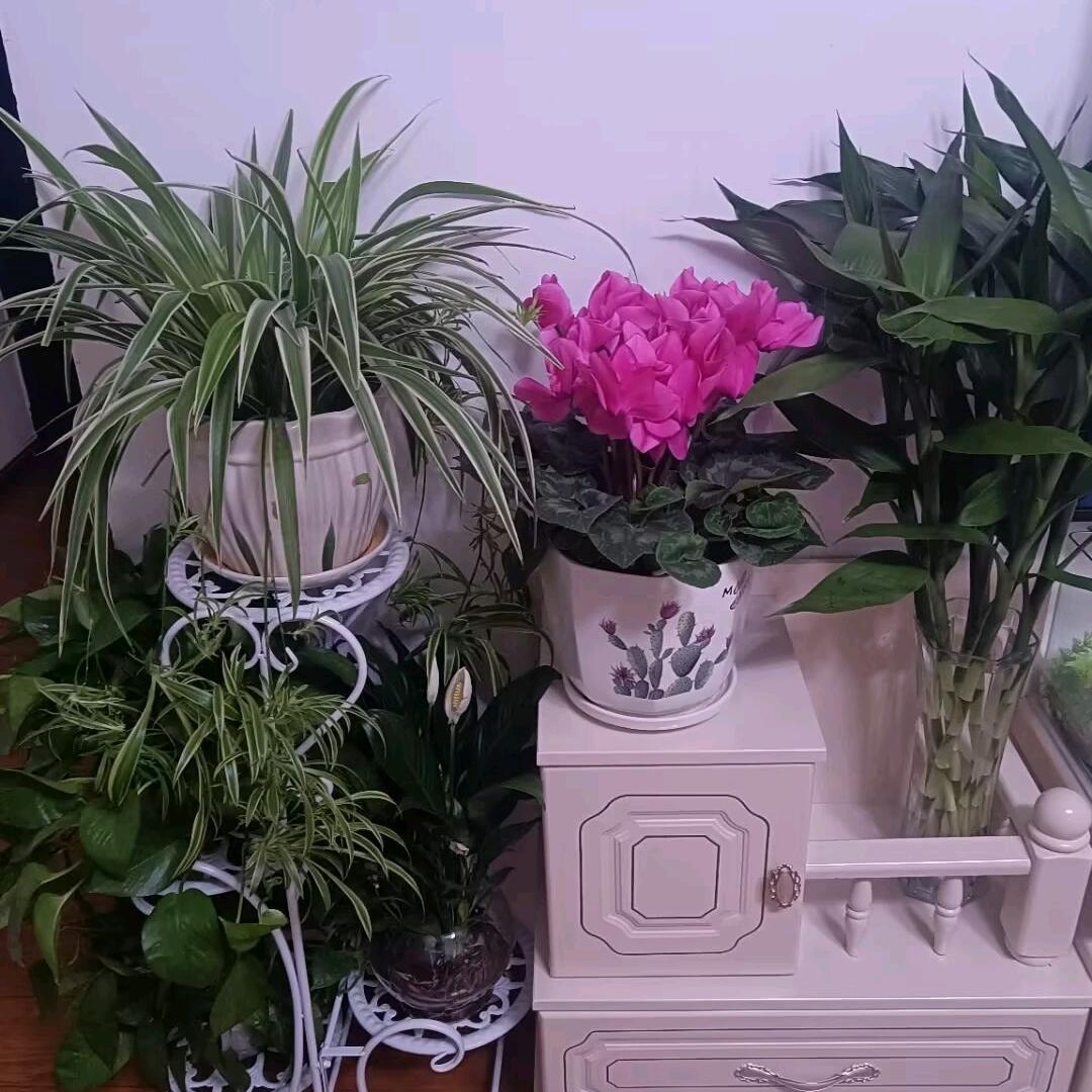 阿明哥715