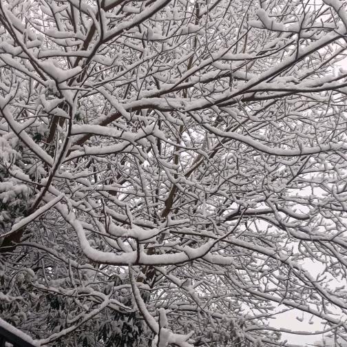耀伍扬威（上海路潮流美发店）
