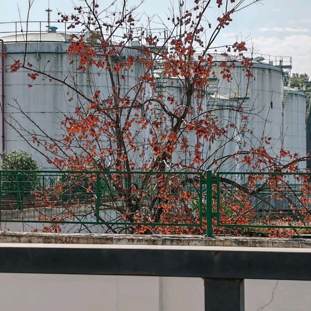 用户7021366818114