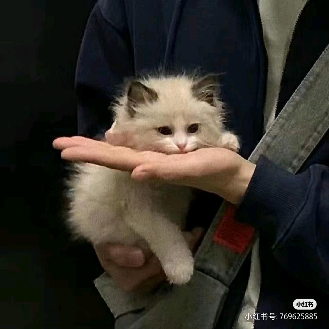 晚归不知意