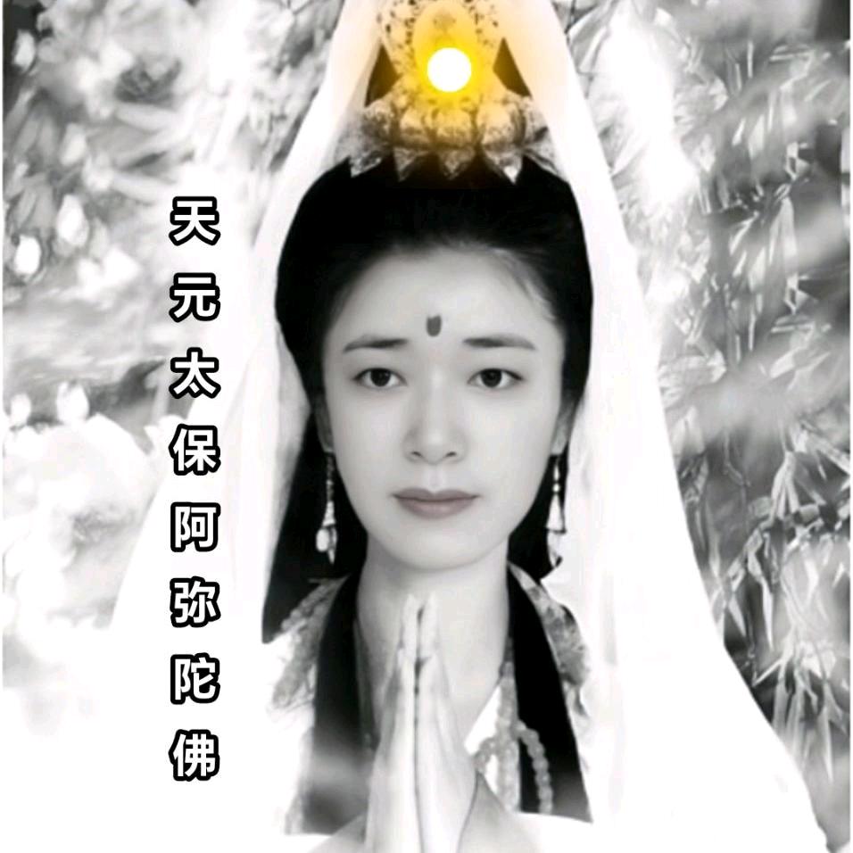 龙心莲～万佛苑