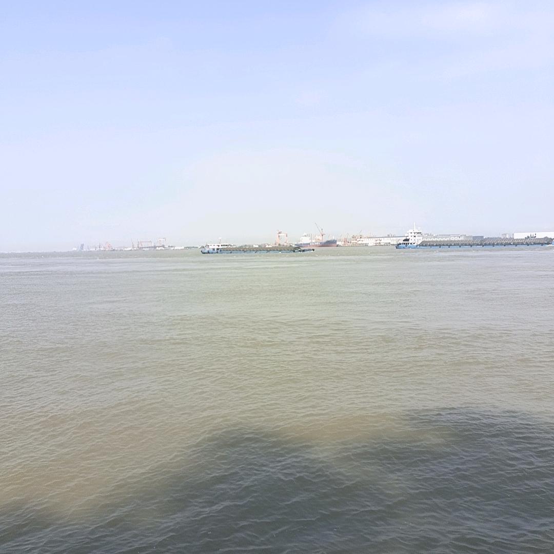 玉丫头