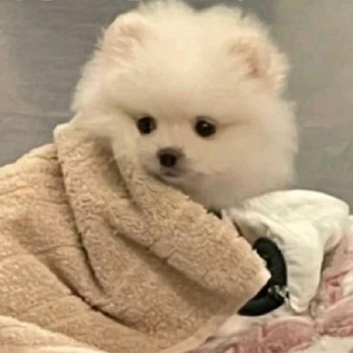 今天学点什么呢