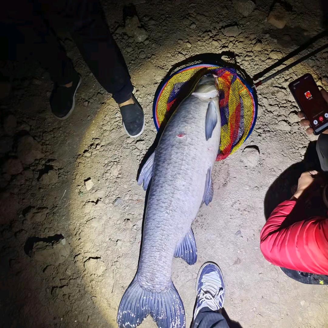 汇聚陆（一号）