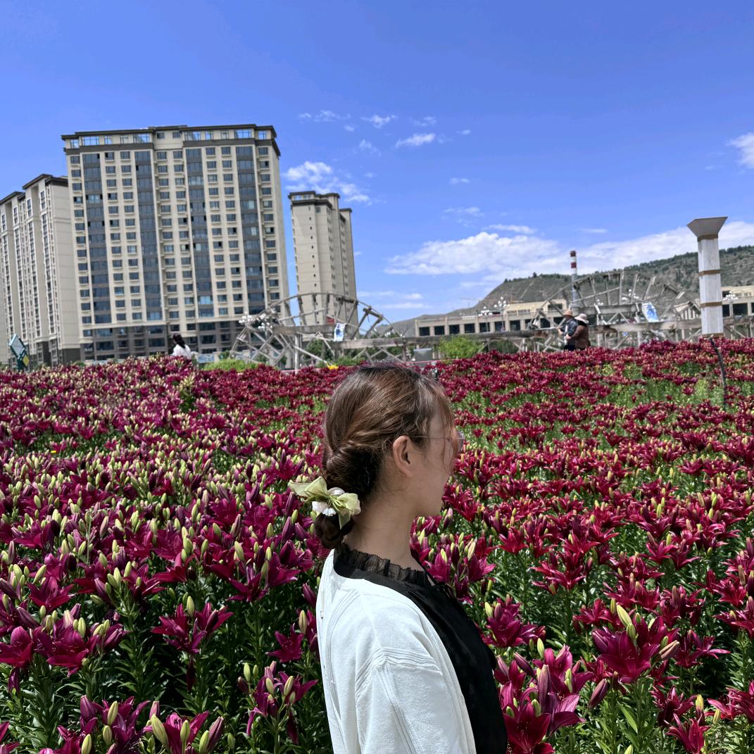乡间步行人