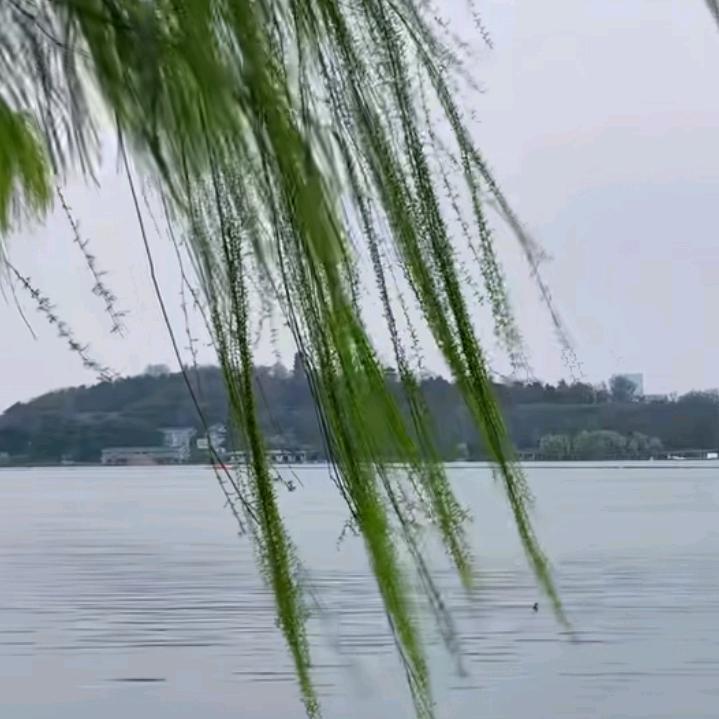 余帅