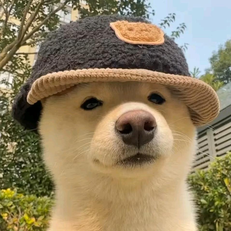 锅巴不粘郭
