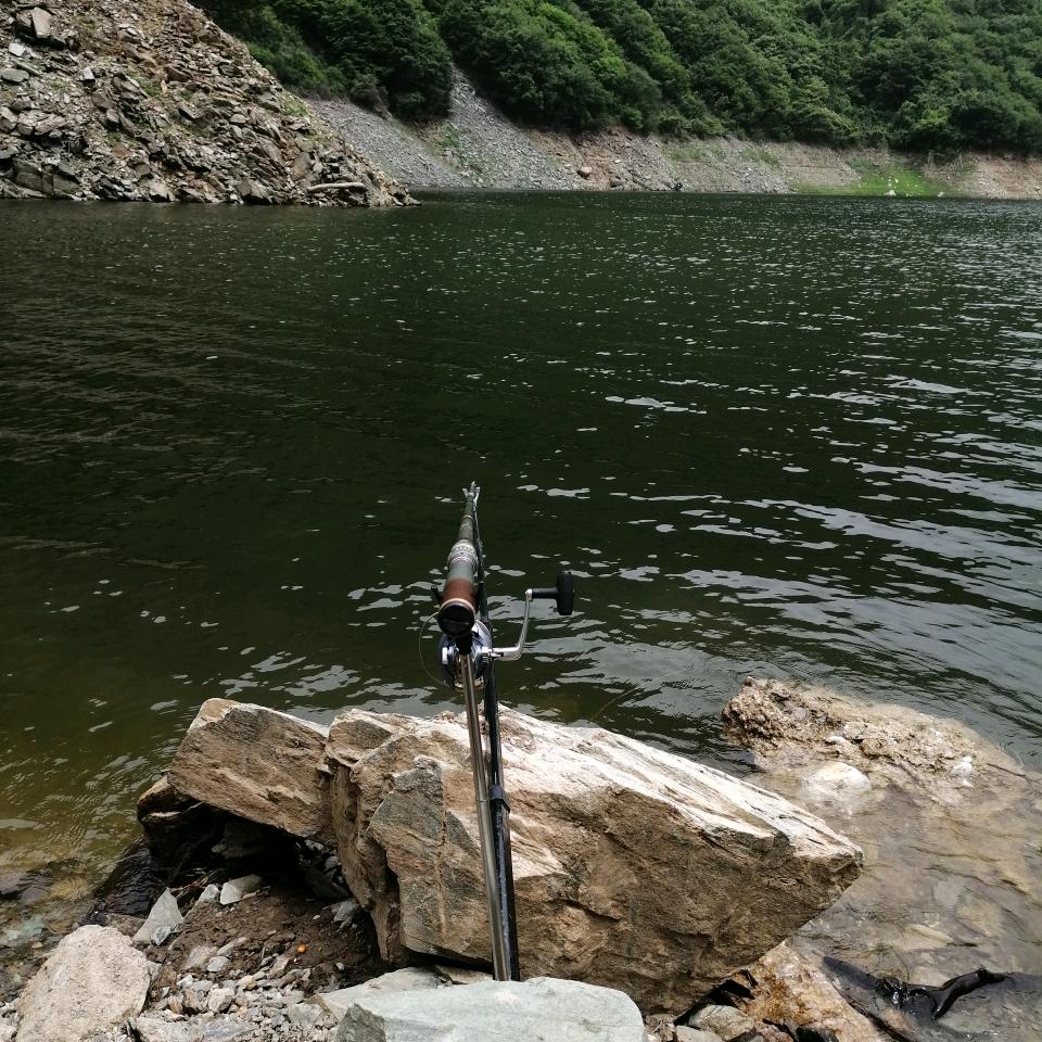 钓鱼日记