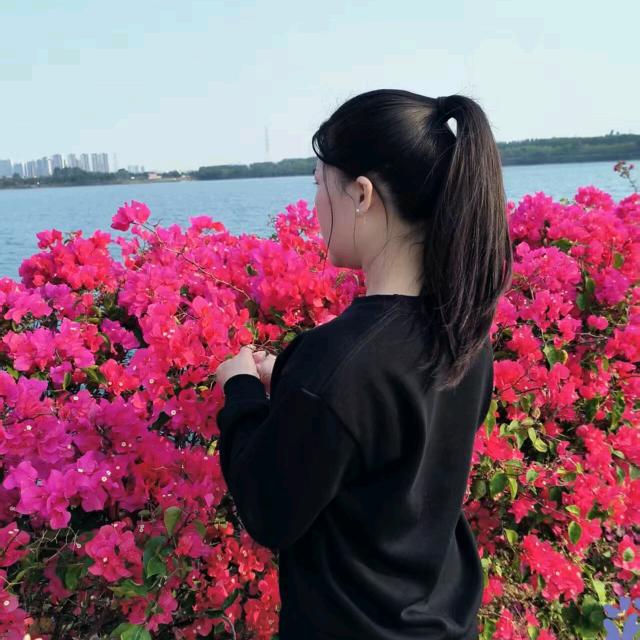 小荷花