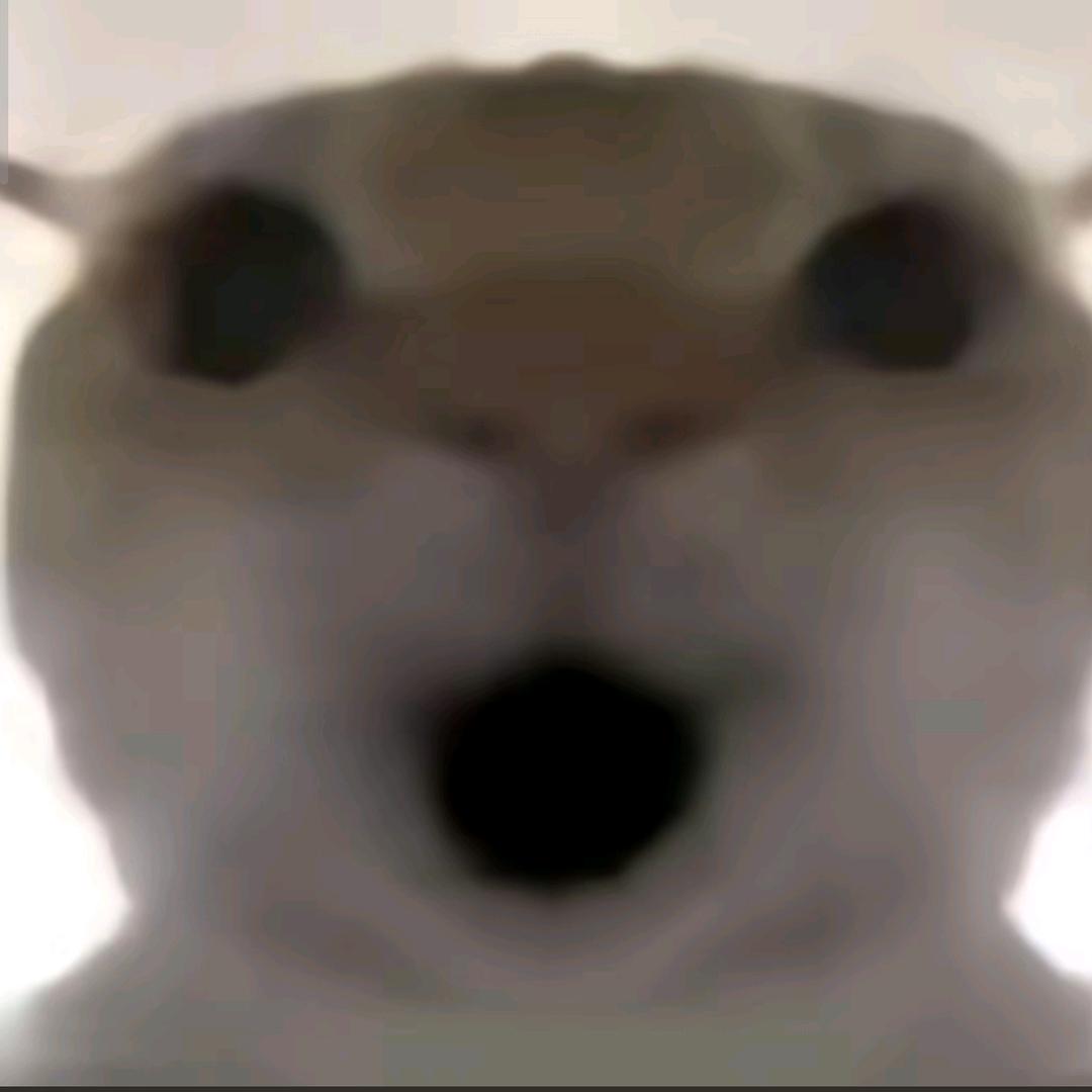 小师阿园（冬眠中）