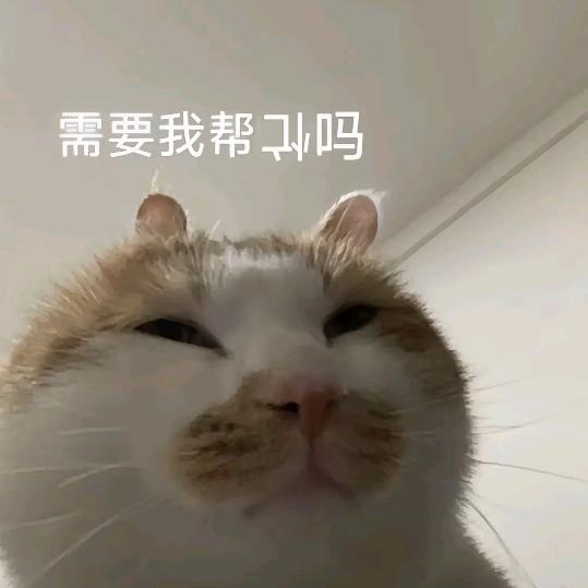 bagyzat