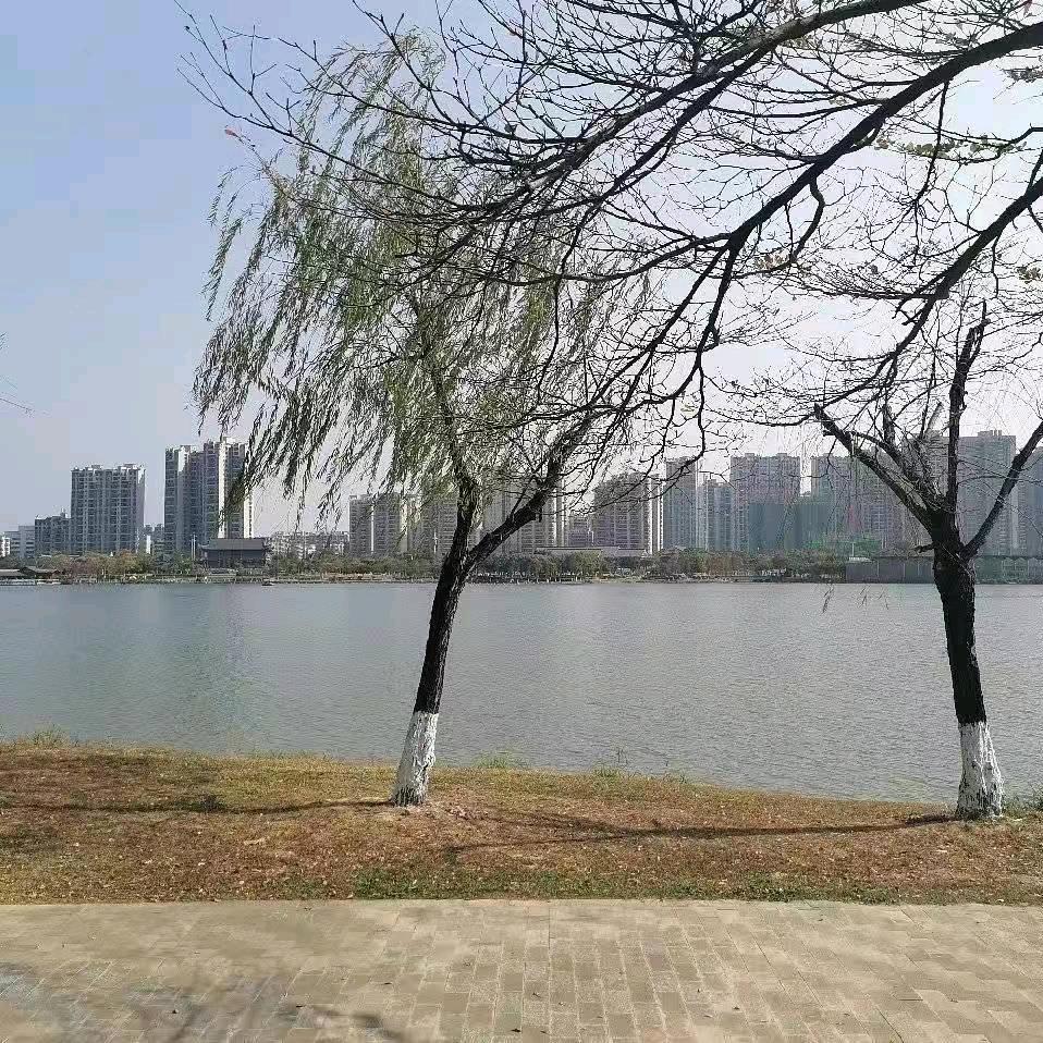 洋洋洗衣液