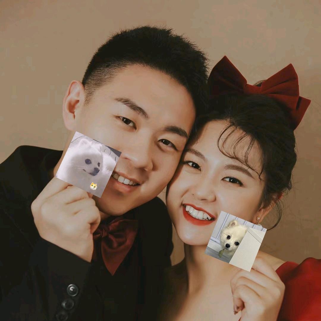 球球铁豆的幸福生活