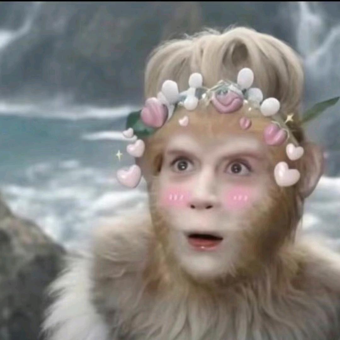 小熊穿了比基尼