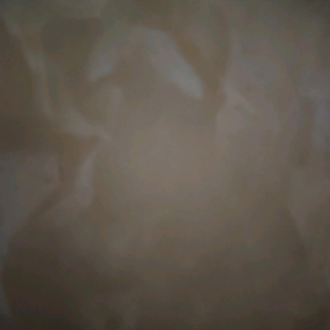 宋仔