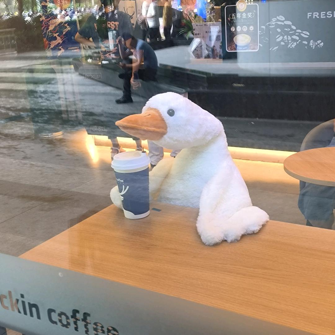 明天见！