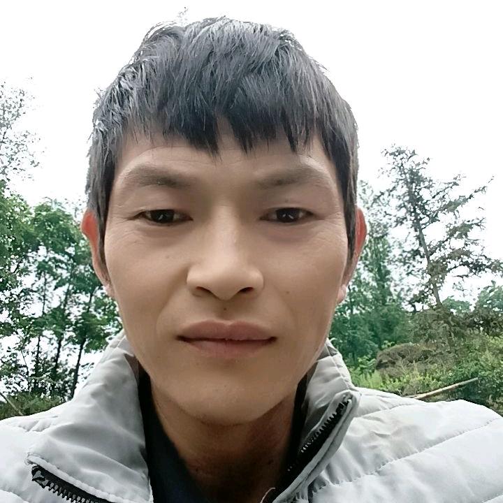 真心换真情