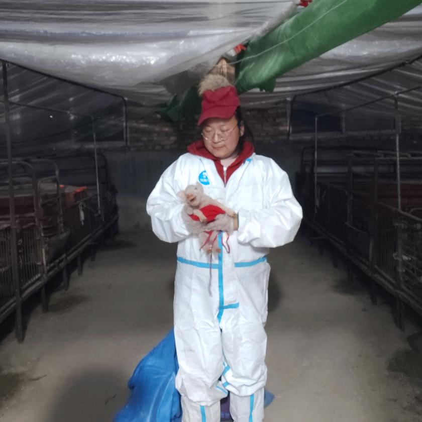 郭佰轩养猪人（奋斗版）