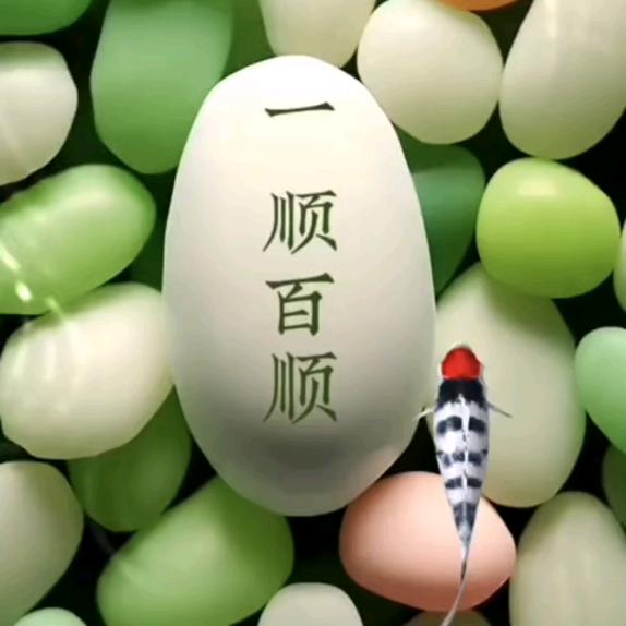 ꕥ᭄往事🍓随风ꦿᩚ࿐