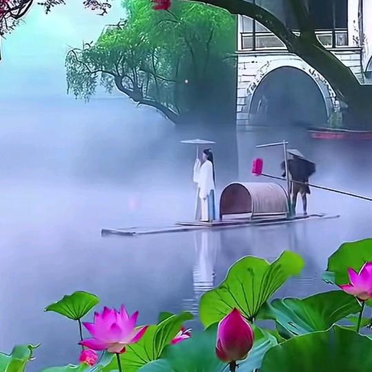 ✨壹❤️向阳🍎