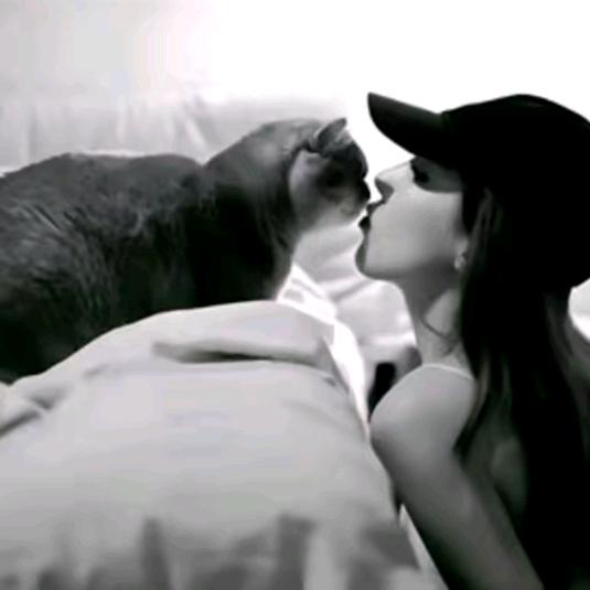 ᝰ᭄遗 憾ᝰ᭄ ⁶¹⁶