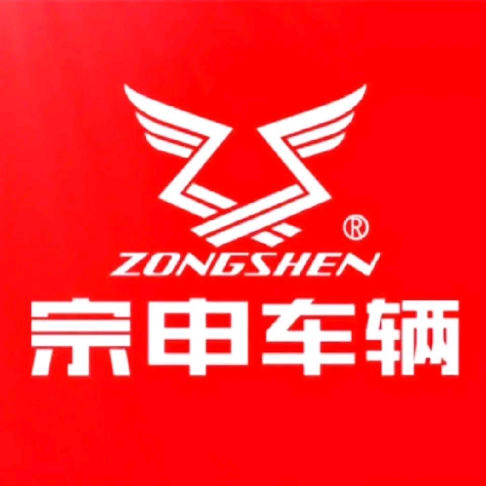 沈丘东关宗申电动车