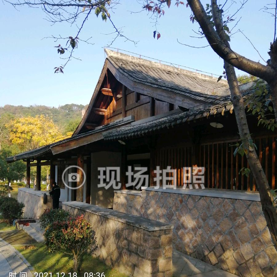 🍇八亩田花卉园艺