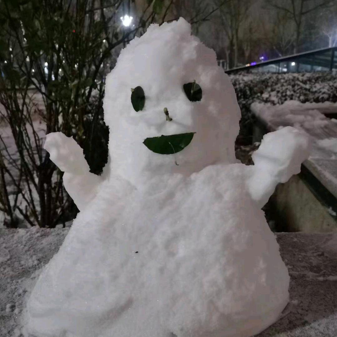 铁头