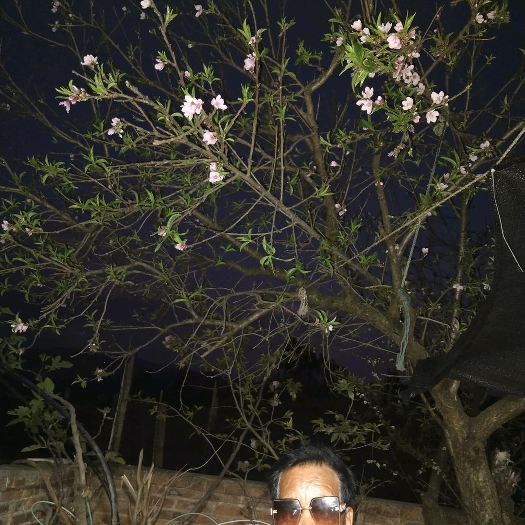 杨爷爷