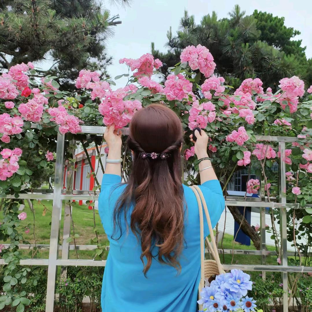 ～一枝花