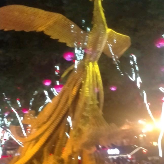佳节团圆🐦🐦🐦🐦❤️