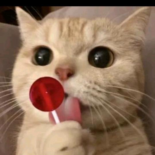 爱吃黄油的萧二