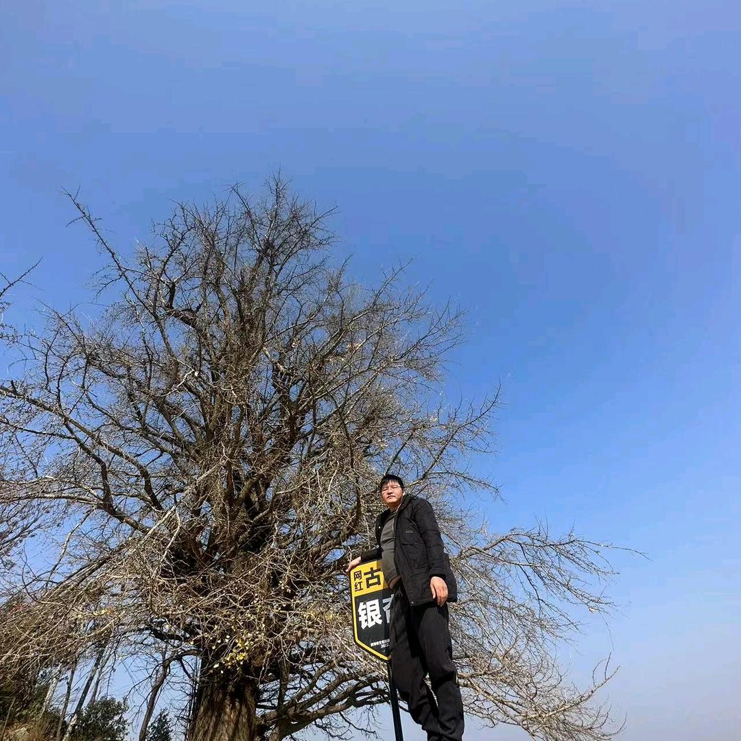 鱼鲤同行