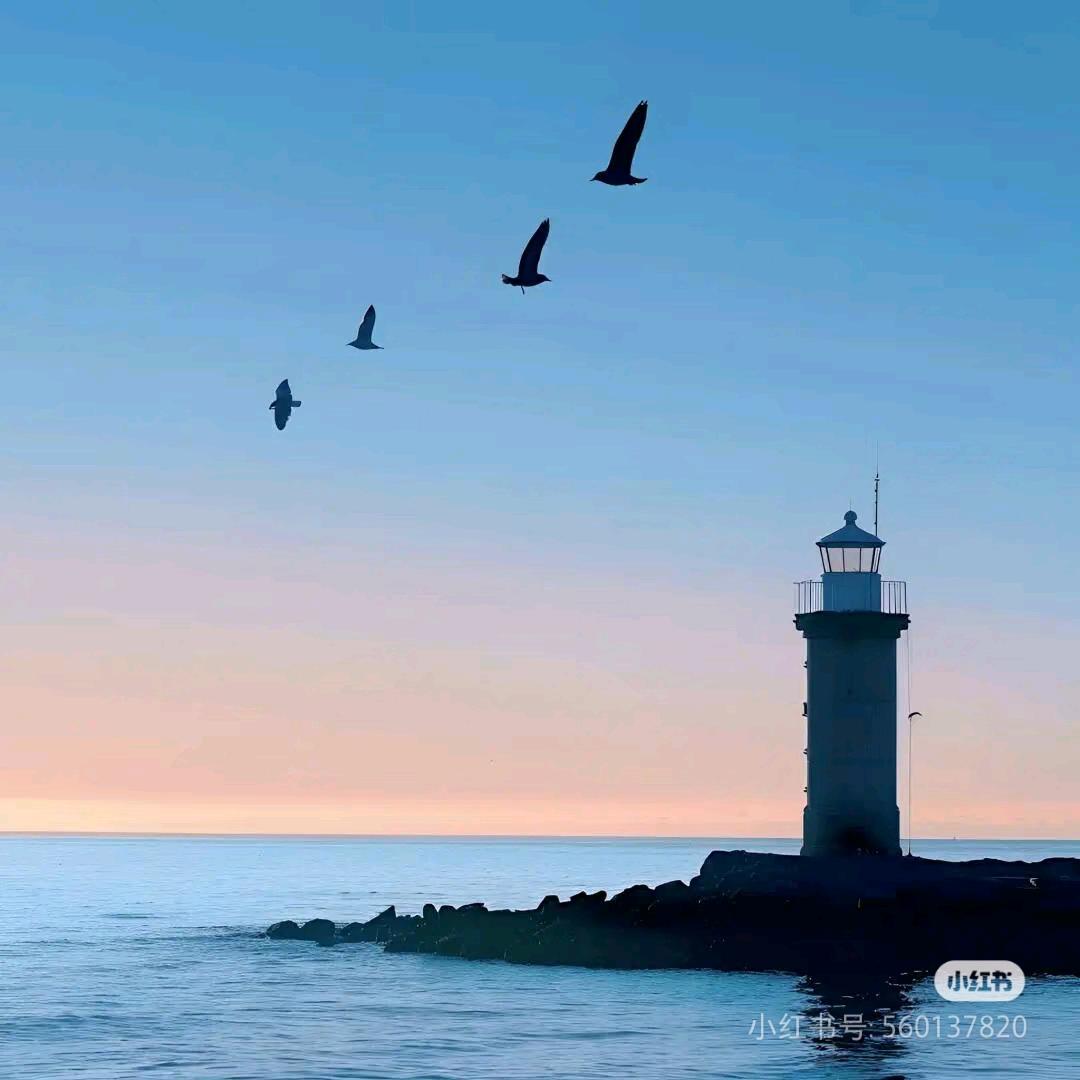 淮南数学林老师