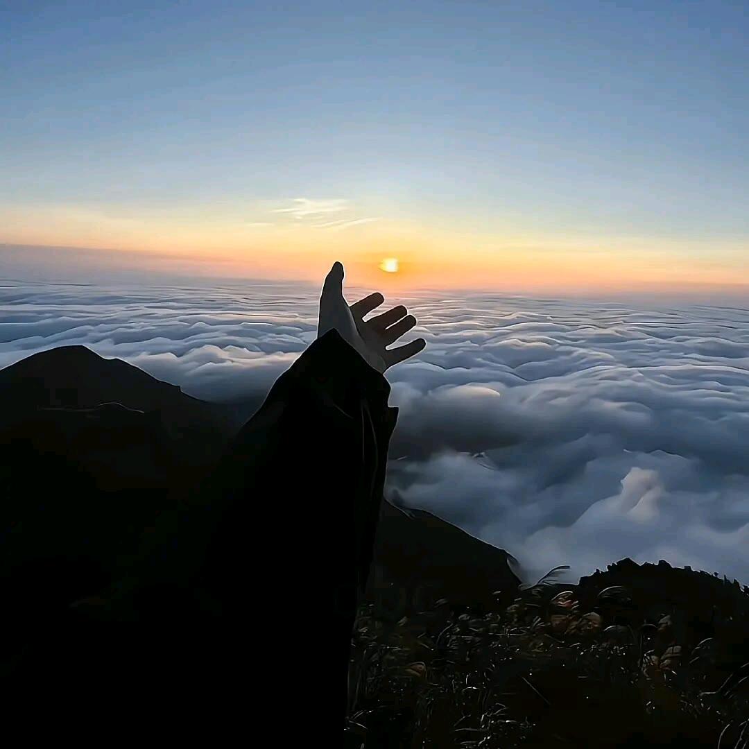 小邹同学zz