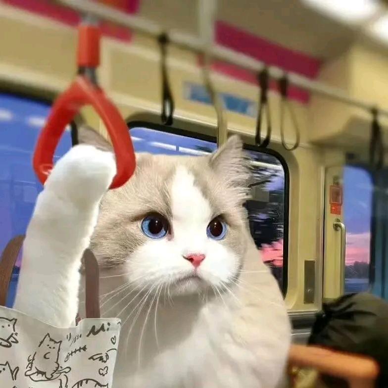 饮料喝完了瓶子给我