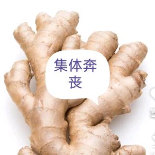 正了四季付了夏