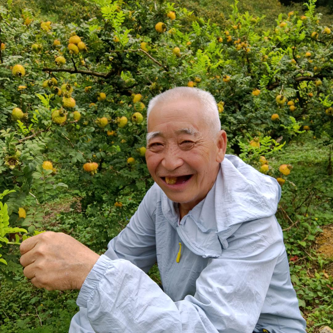 民民