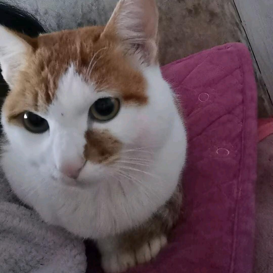 缘起缘梦