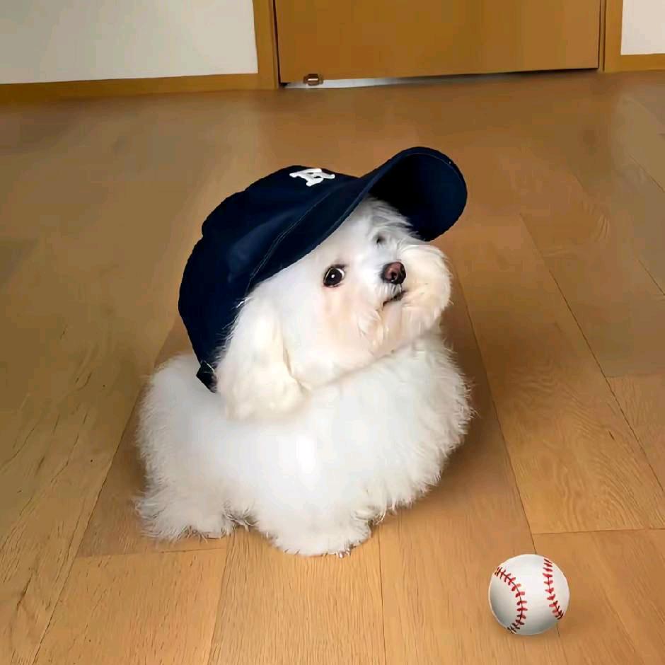 叙