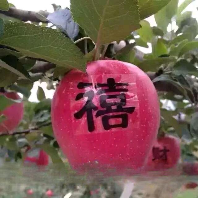 烟台苹果精品店
