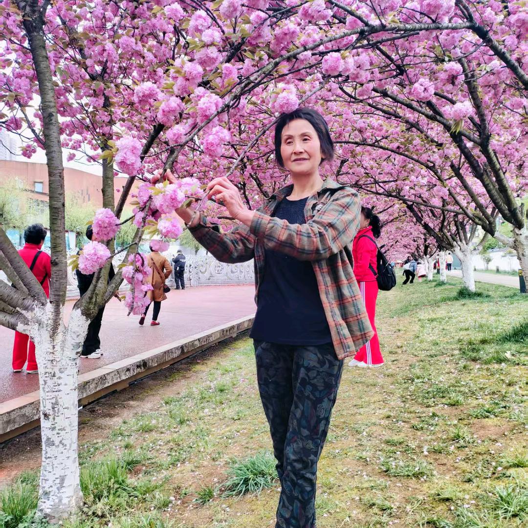 施肇菊