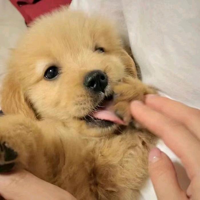 🌈好运连连