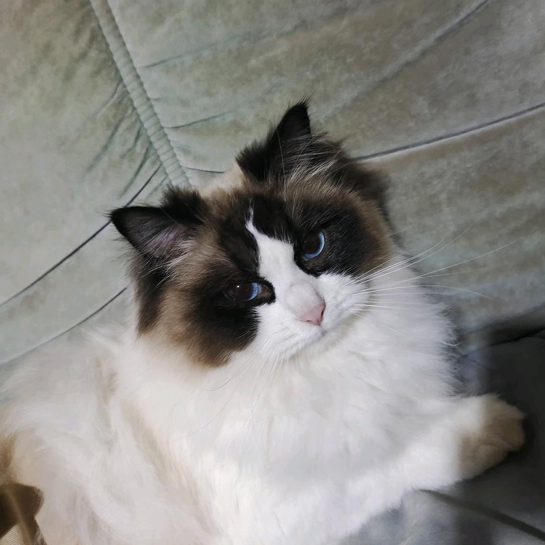 zzZ