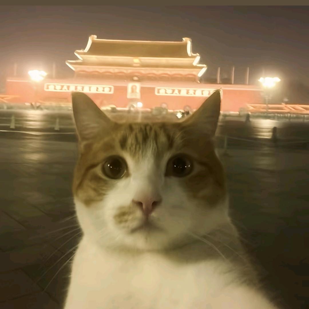 _执着