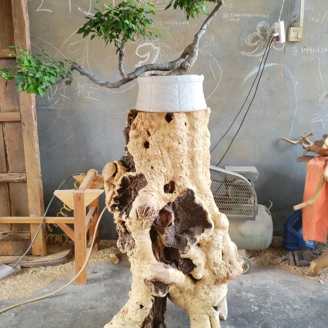 根雕、根艺、艺术茶几、奇石配座