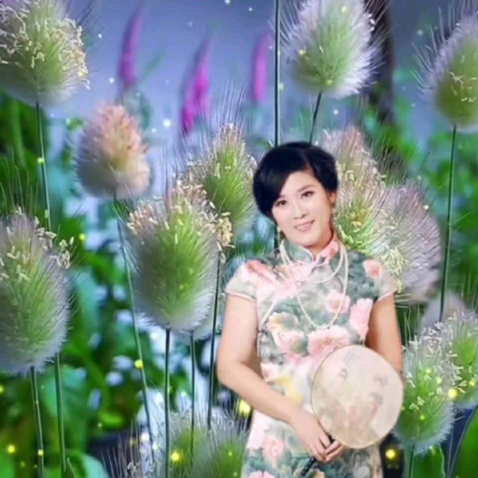 姑苏悠然