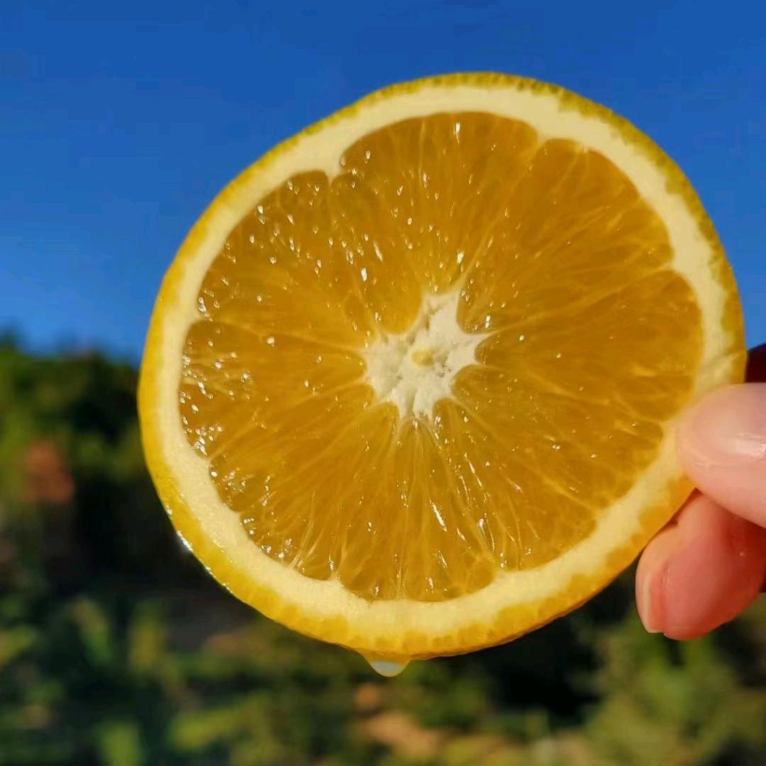林老丝